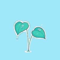 凉拌鱼腥草 头像