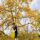 沉默的夏虫 头像