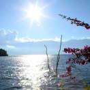 洱海不是海 头像