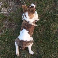 你爷爷竟然 头像