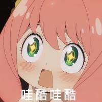 Code皮皮虾 头像