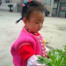 面壁者LOGIC 头像