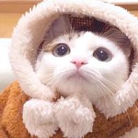 走去看大海 头像