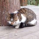 🤪米先生🤔 头像