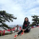 🌸 程子桐 头像