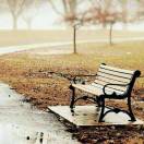 木槿鱼🐠 头像