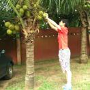 A   朱雷明(猪) 头像