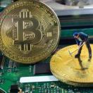 bitcoin风信子 头像