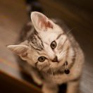 路上的木兮兮 头像