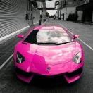 Angel「Joojak朱雀浮生梦 头像