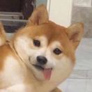 瞿家湾战神 头像