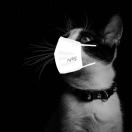 🙇🏾阳ྂ 头像