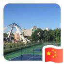 双翼网球 杨欢 头像