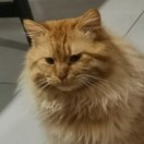 永不言弃，拼搏到底🏀 💪 头像