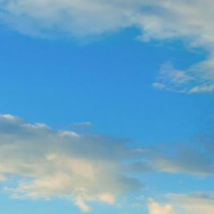 落雨飘泪遮面 头像