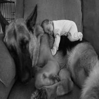 奈何桥边若等闲 头像