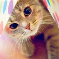 我是超会画画的小画家 头像