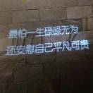 请叫我王叔叔 头像