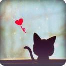 可可西里的喵星人 头像