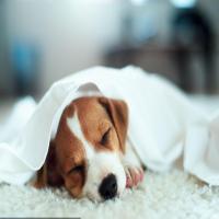 纠结当下,忧虑未来 头像