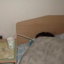 人间忽晚，山河已秋。 头像