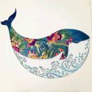 零度冰淇淋what 头像