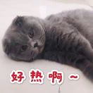 无敌小洁 头像