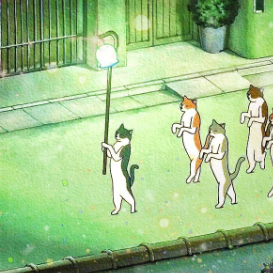 橘猫它还好吗 头像