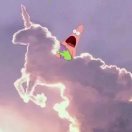 蒲公英不会飞 头像