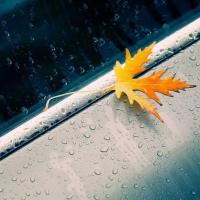 有信心的小匠 头像