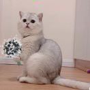 Believe yourself 头像