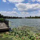 oowanghpoo001 头像