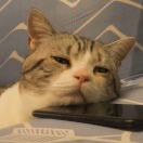 我发誓不改微信名了 头像