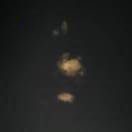 简单的琥珀 头像