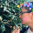 三百里春风尽在前 头像