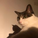 晴朗鹿鹿~~ 头像