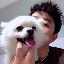 照着剧本演 头像