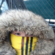 我是一朵韭菜花 头像