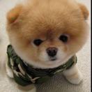 只与清风、明月为伴 头像