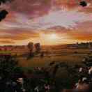 有点奇怪的chY 头像