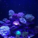 别停下，往前走 头像