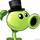                头像