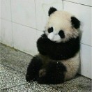 电影院独狼 头像