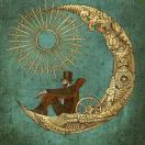 VIKING🐢🐱🌵 头像