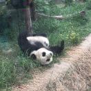 弘基客服-刘丽丽 头像