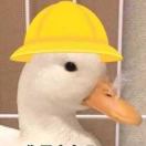 芒果咩饱饱🐼 头像