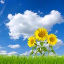 今天你好  头像