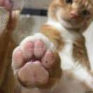 请叫我爱码士 头像