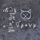 薛定谔方程 头像