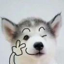 Flora⁶⁶⁶ 头像